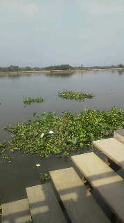 2013012415290000.jpg