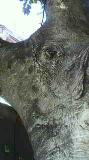 2013022612560000.jpg