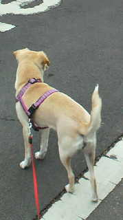 2013033113290000.jpg