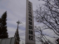 今日の画像