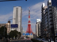 今日の画像