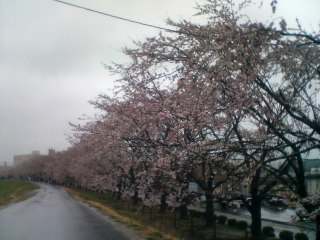20060412_163580.JPG