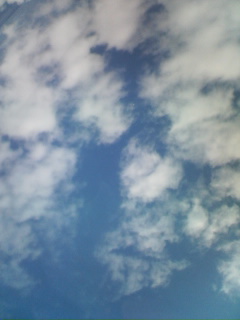 20060725_221359.jpg