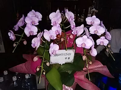 DSC_2858.jpg