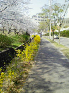 200804061429000.jpg