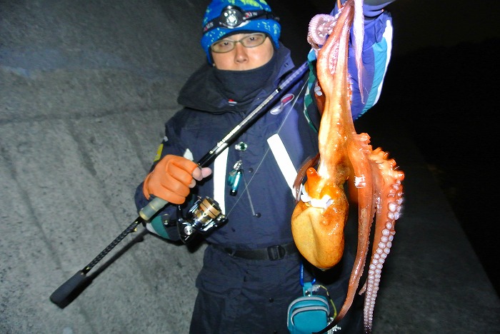 タコ