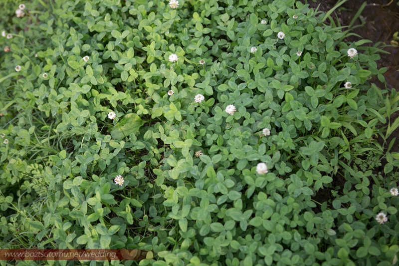 image007.jpg