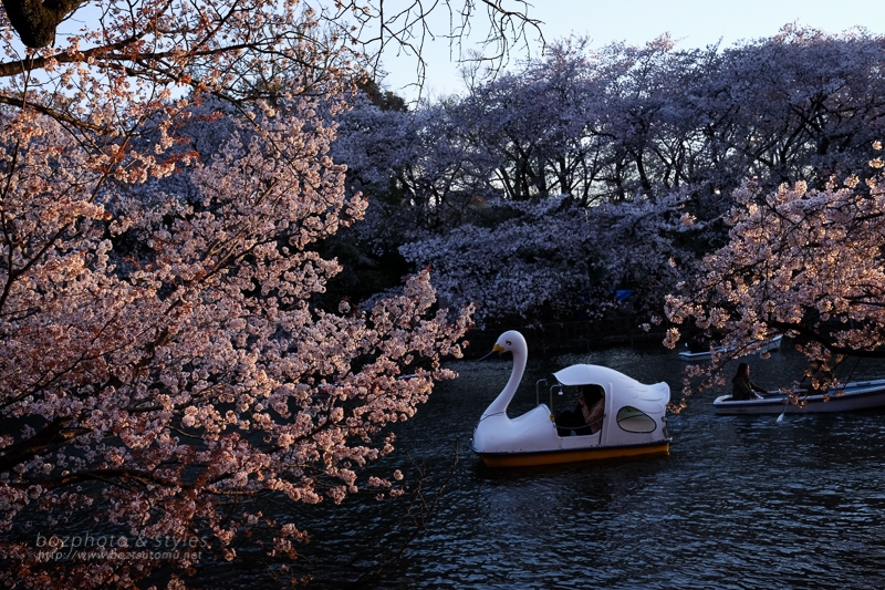 0002.jpg