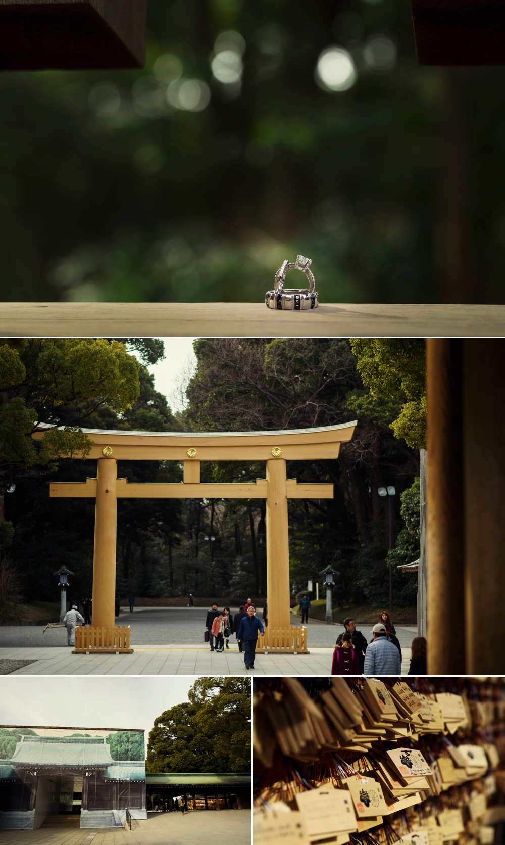 オマーンから来た王子様 明治神宮での結婚式 Bozphoto And Styles の写真ブログ