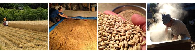 Kjell Beer Barley