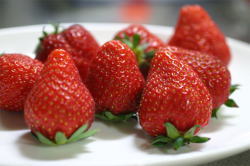 img18.jpg