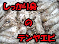 テンヤエビ
