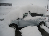 雪