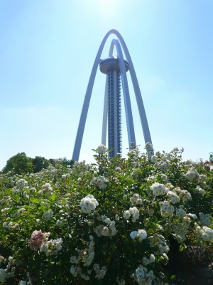 木曽三川公園 138 ローズフェスタ