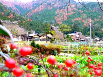 かやぶき屋根 集落 紅葉 美山