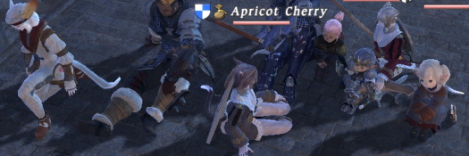 hu9.jpg