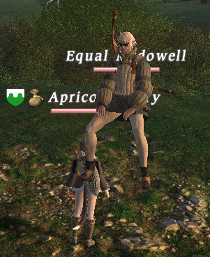 hu8.jpg