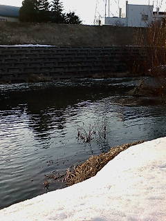 20090321163044.jpg