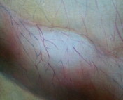 20091212120313.jpg