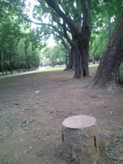 20100922122207.jpg