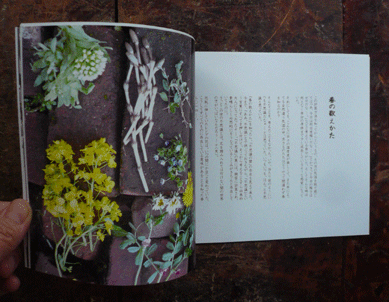 zine