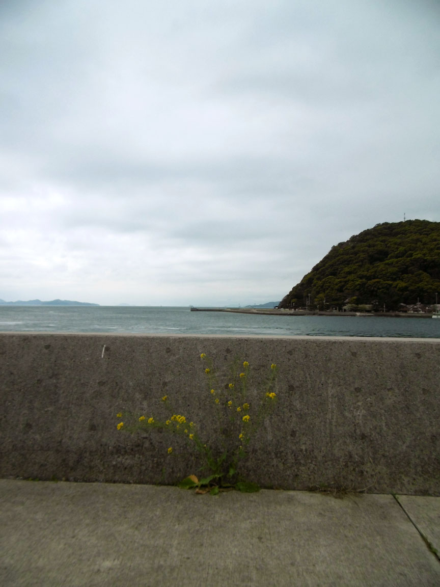海岸