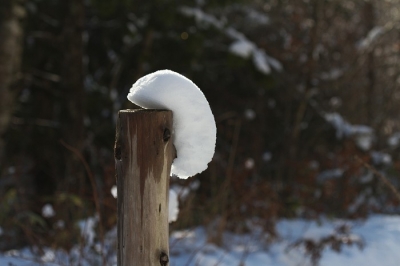 冠雪