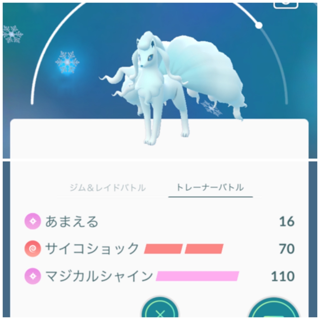 ポケgo便り