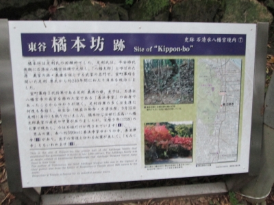 IMG_8061.JPG