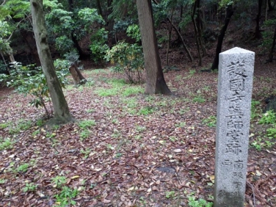 20180509_085748.jpg