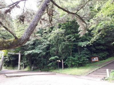 20180509_091701.jpg