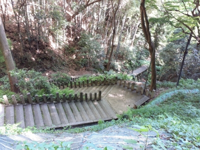 20180511_082946.jpg