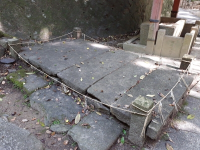 20180511_084318.jpg