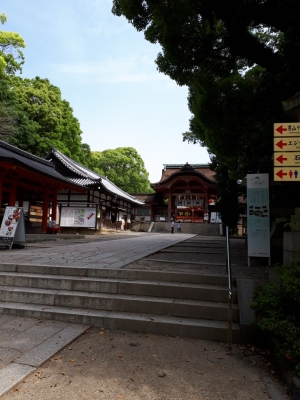 20180516_090041.jpg