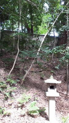 line_1526428932075.jpg