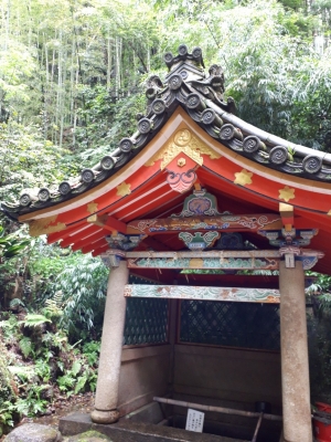20180509_090037.jpg