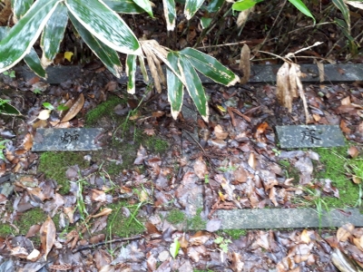 20180509_090759.jpg