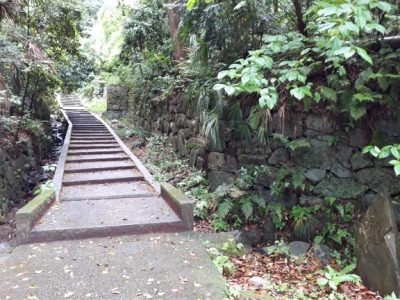 20180509_091003.jpg