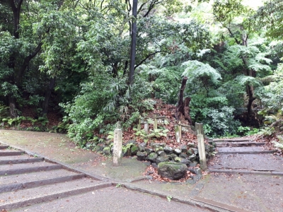 20180509_091055.jpg