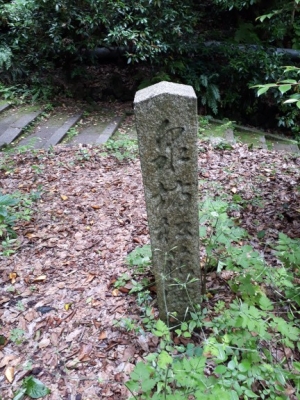 20180517_094939.jpg