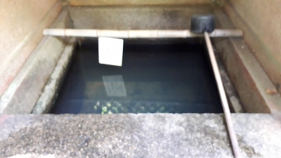line_1526345675190.jpg