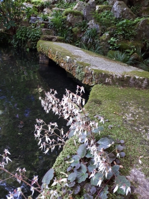 20180618_141705.jpg
