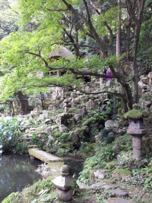20180618_122333.jpg