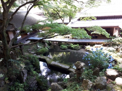 20180618_141428.jpg
