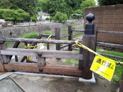 20180708_090223.jpg