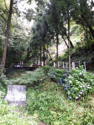 20180707_134043.jpg