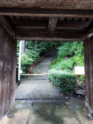 20180707_133652.jpg