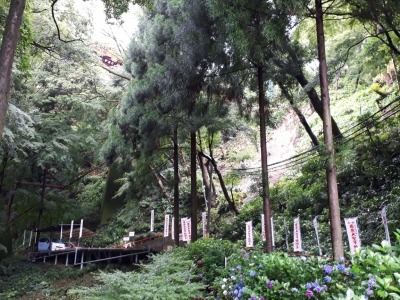 20180707_134117.jpg