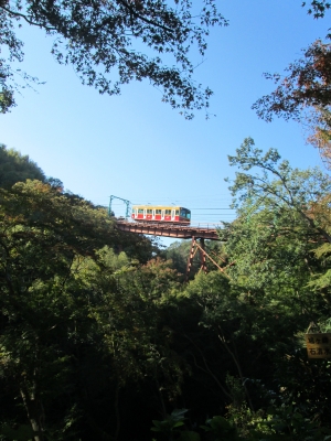 IMG_1621.JPG