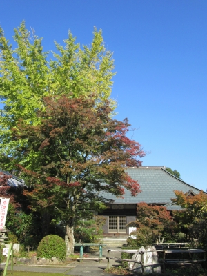 IMG_1629.JPG